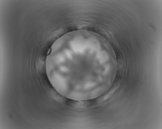 X0000113600527200910091523