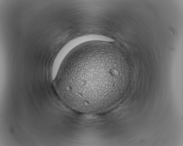 X0000113600528200910091523