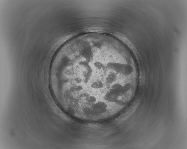 X0000113600529200910091522