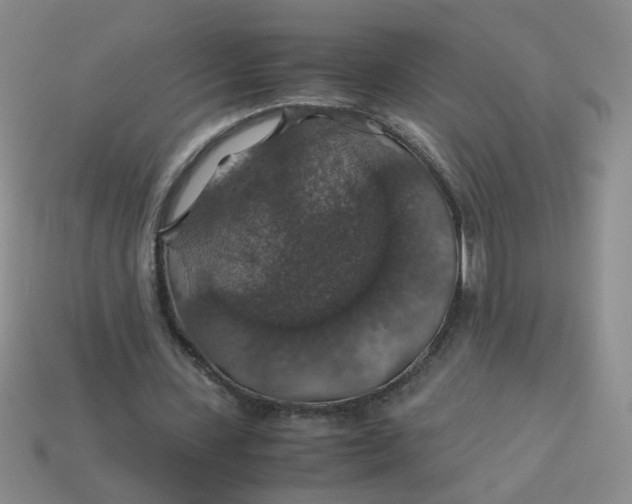 X0000113600531200910091522