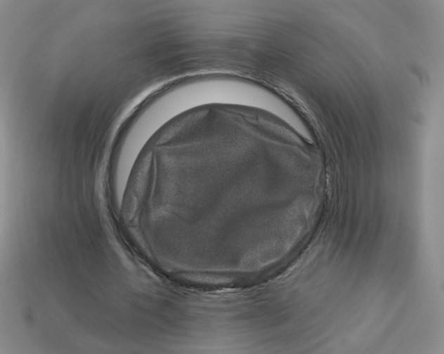 X0000113600532200910091522