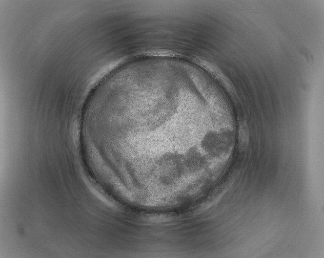 X0000113600533200910091522