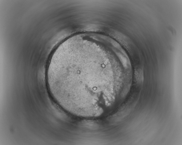 X0000113600534200910091522