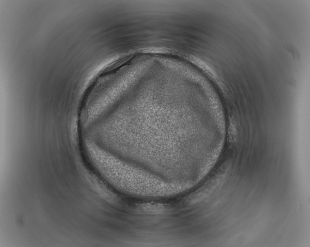 X0000113600535200910091522