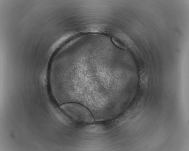 X0000113600536200910091522