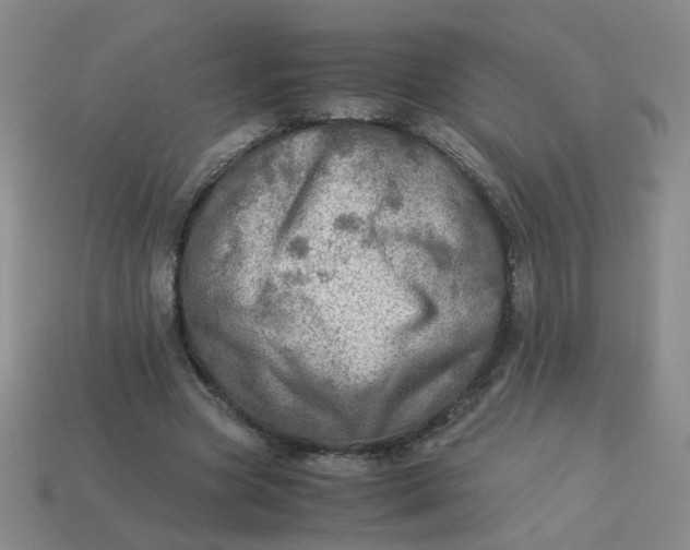 X0000113600537200910091522