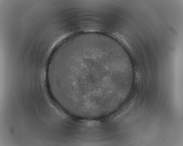 X0000113600539200910091522