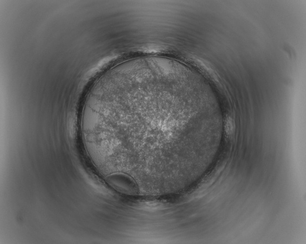 X0000113600540200910091522