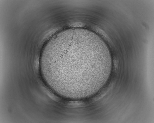 X0000113600541200910091522