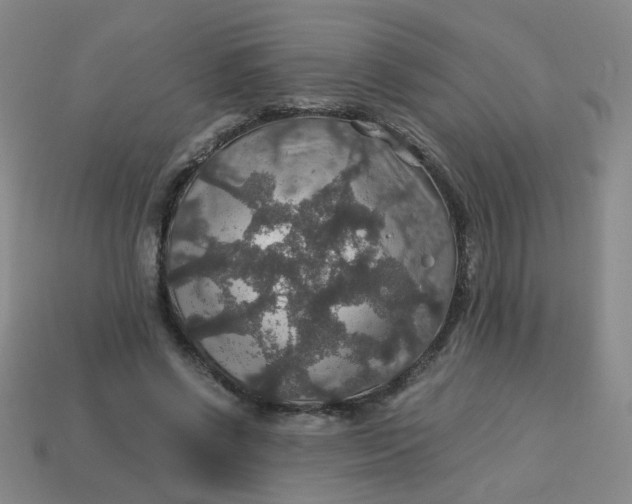 X0000113600542200910091522