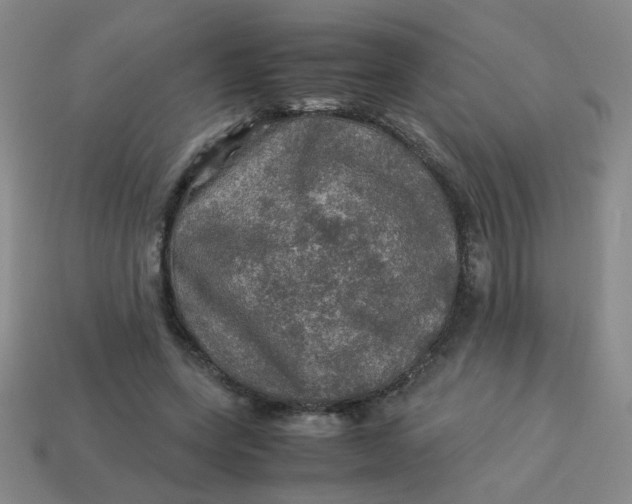 X0000113600543200910091522