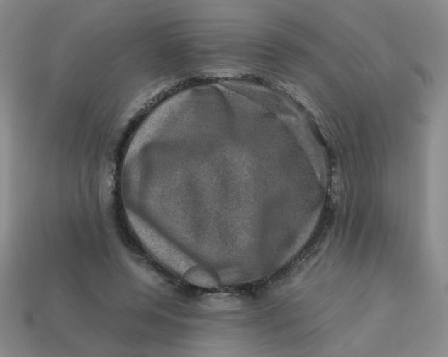 X0000113600544200910091522