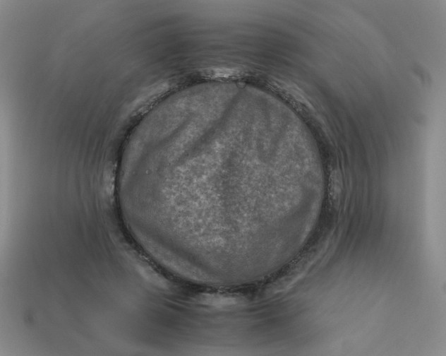 X0000113600545200910091522