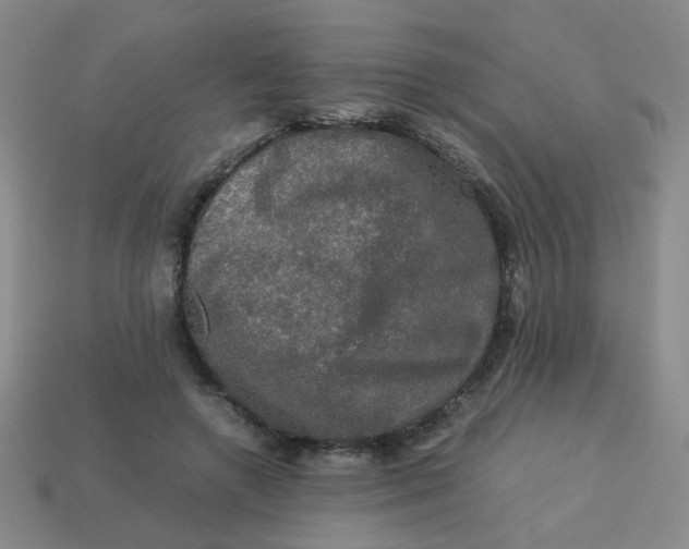 X0000113600546200910091522