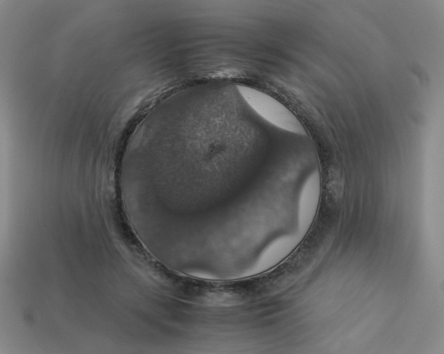 X0000113600547200910091523