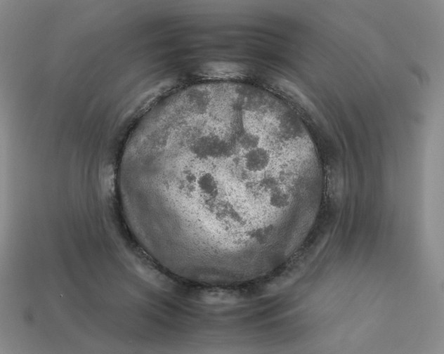 X0000113600549200910091523