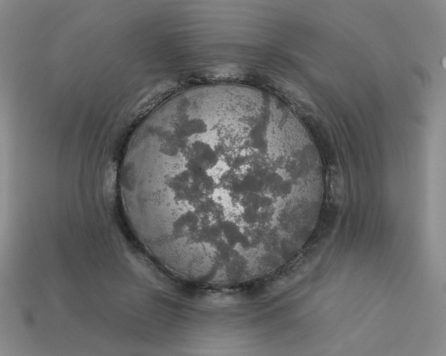 X0000113600550200910091523