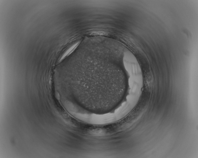 X0000113600551200910091523