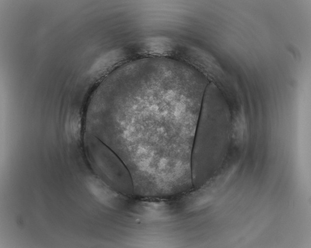 X0000113600552200910091523