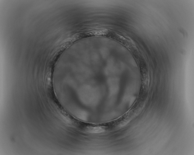 X0000113600553200910091523