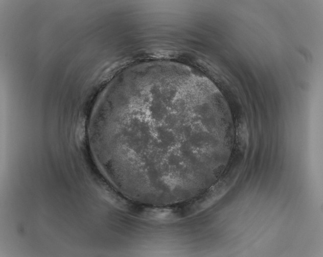 X0000113600554200910091523