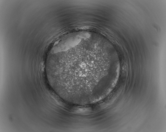 X0000113600555200910091523