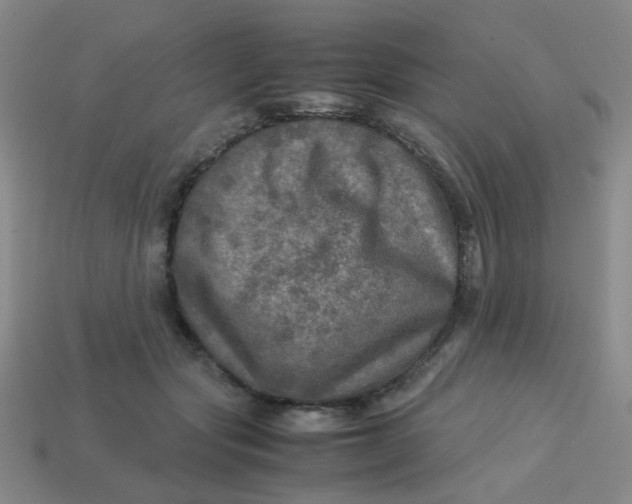 X0000113600557200910091523