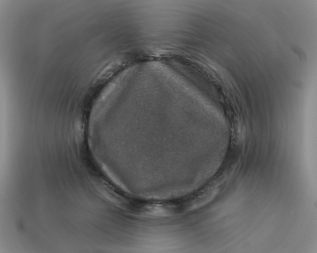 X0000113600558200910091523