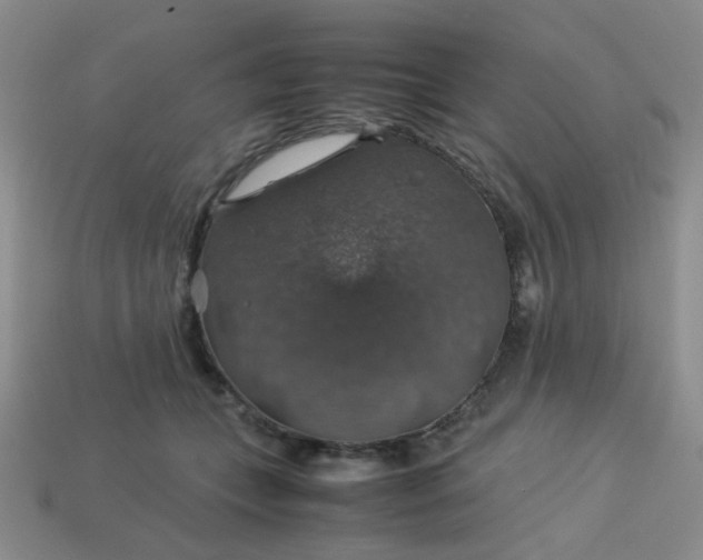 X0000113600559200910091523