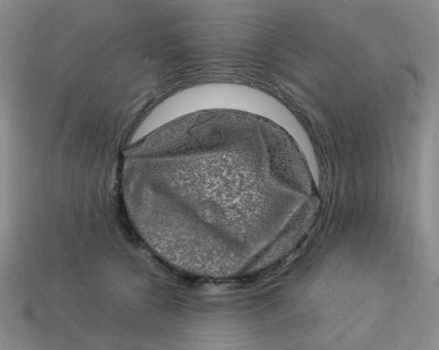 X0000113600560200910091523