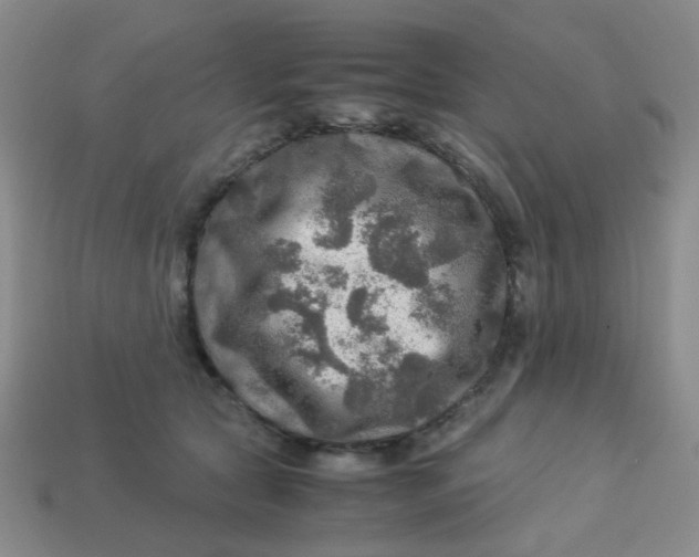 X0000113600561200910091523