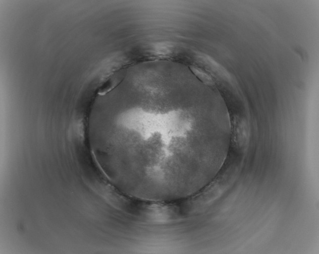 X0000113600562200910091523