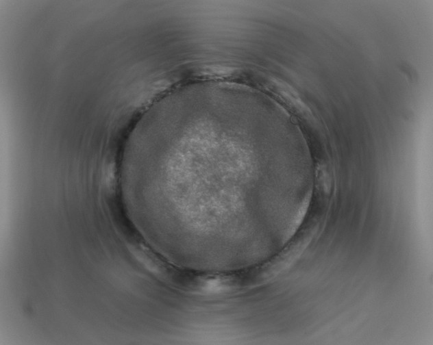 X0000113600564200910091523