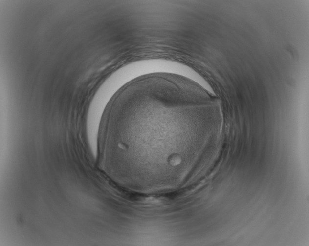 X0000113600566200910091523