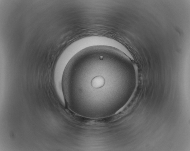 X0000113600568200910091523