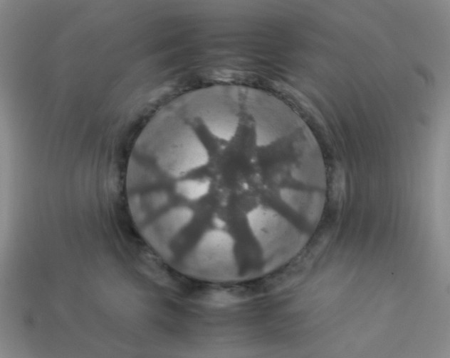 X0000113600569200910091523