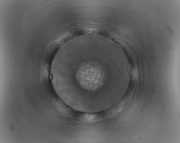 X0000113600570200910091523