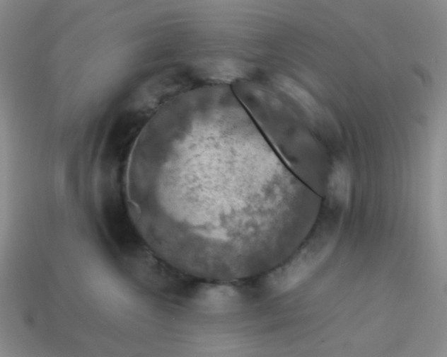 X0000113600572200910091523