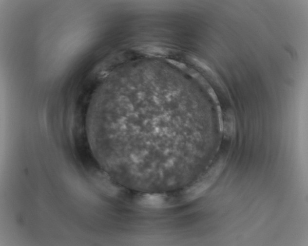 X0000113600573200910091523