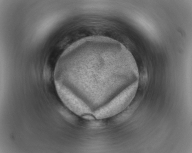 X0000113600574200910091523