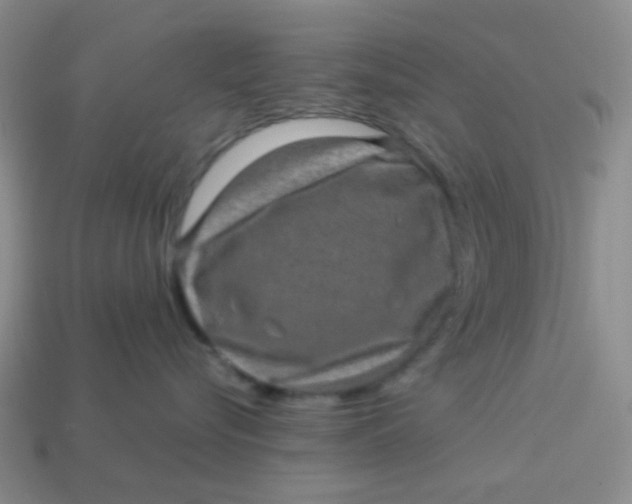 X0000113600576200910091523