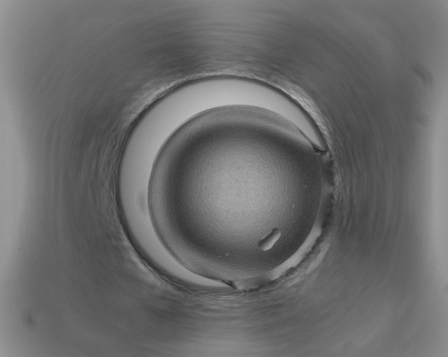 X0000113600577200910091522