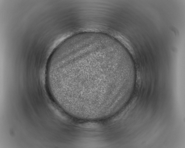 X0000113600578200910091522