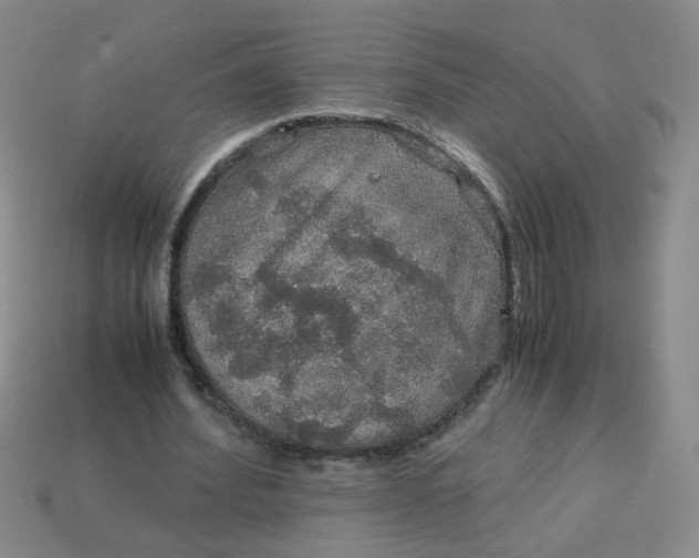 X0000113600580200910091522