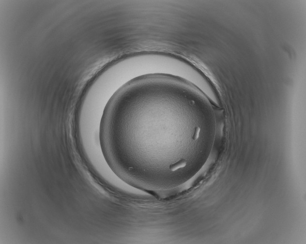 X0000113600581200910091522