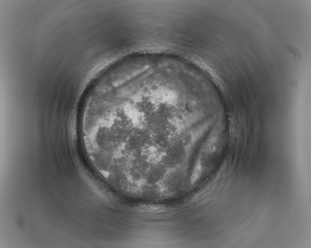 X0000113600582200910091522