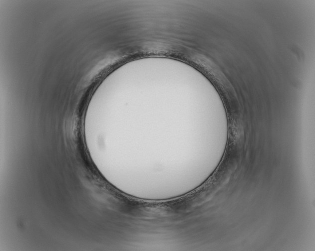 X0000113600583200910091522