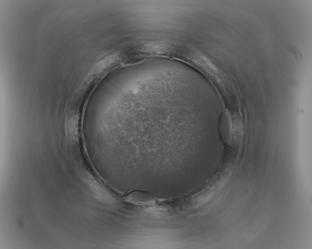 X0000113600585200910091522