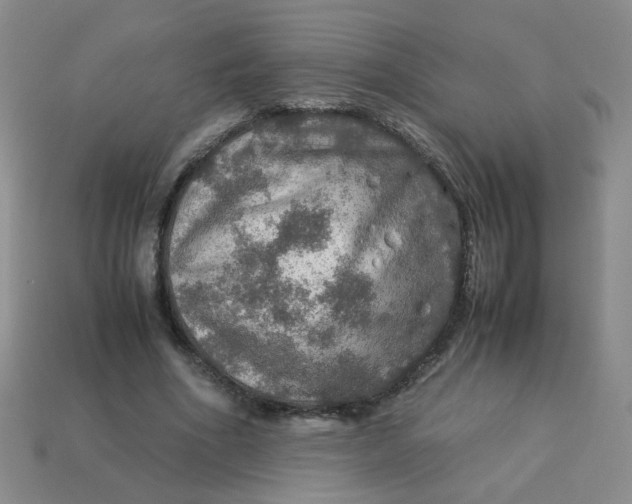 X0000113600586200910091522