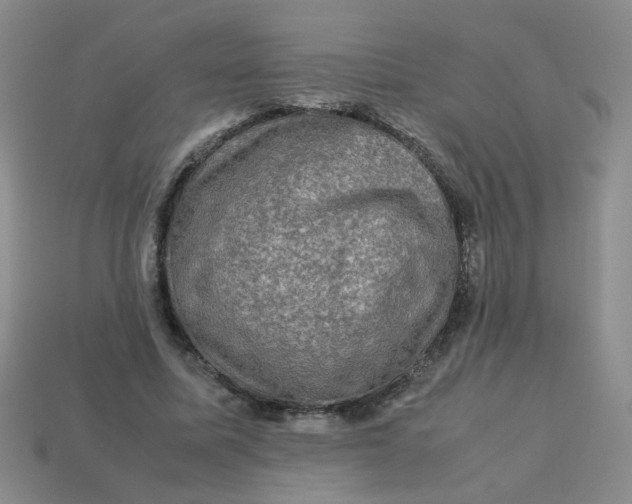 X0000113600587200910091522